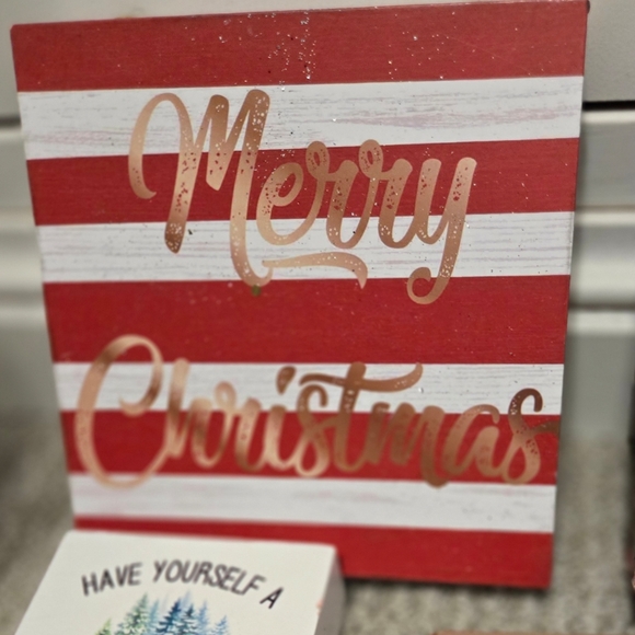 COPY - LOT OF 14 - VARIETY OF CHRISTMAS HOLIDAY DECOR/ORNAMENTS/SIGNS - Picture 8 of 14